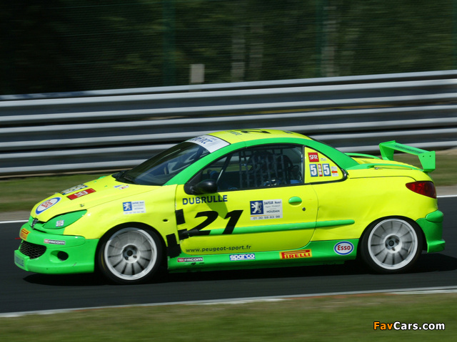 Pictures of Peugeot 206 RCC 2005 (640 x 480)