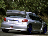 Peugeot 206 WRC Concept 1998 wallpapers