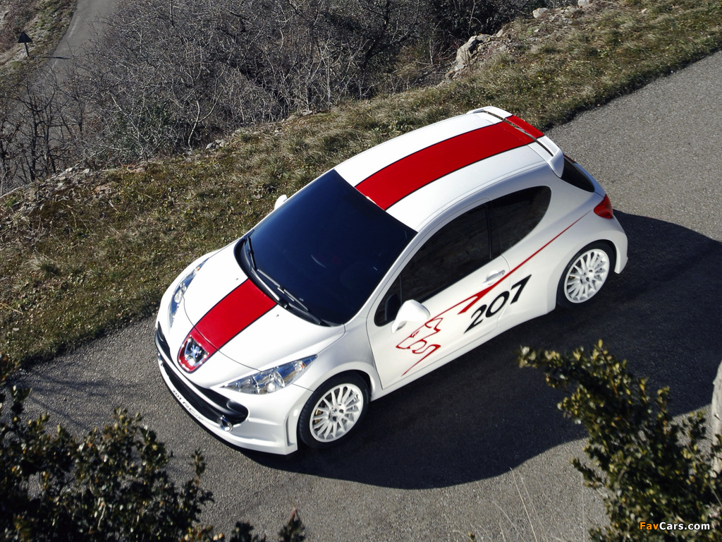 Images of Peugeot 207 RCup Concept 2006 (1024 x 768)