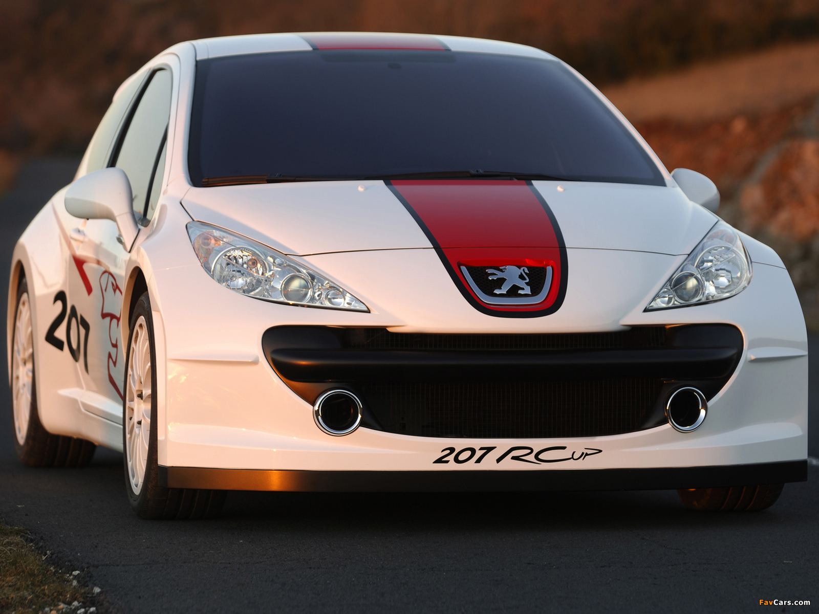 Images of Peugeot 207 RCup Concept 2006 (1600 x 1200)