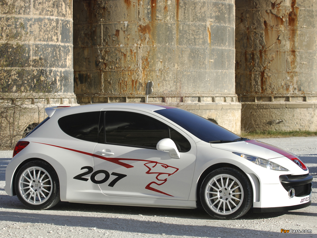 Images of Peugeot 207 RCup Concept 2006 (1024 x 768)