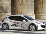 Images of Peugeot 207 RCup Concept 2006