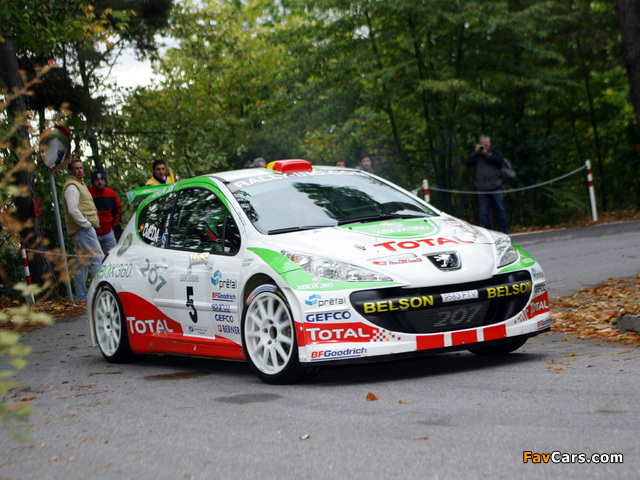 Peugeot 207 S2000 2006 images (640 x 480)