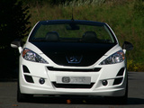 Musketier Peugeot 207 CC Engarde 2007 images
