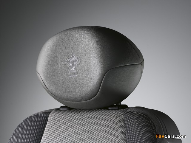Peugeot 207 Rugby World Cup 2007 pictures (640 x 480)