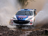 Photos of Peugeot 207 S2000 2006