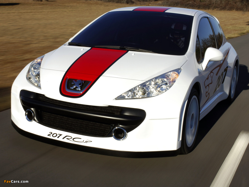 Peugeot 207 RCup Concept 2006 wallpapers (1024 x 768)