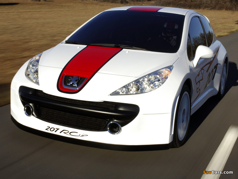 Peugeot 207 RCup Concept 2006 wallpapers (800 x 600)