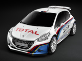 Images of Peugeot 208 Type R5 2013