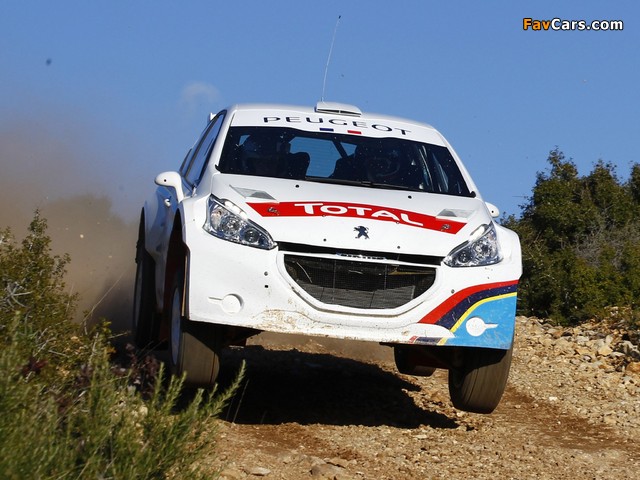 Peugeot 208 Type R5 2013 pictures (640 x 480)