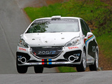 Photos of Peugeot 208 R2 2012