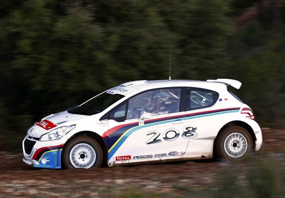 Photos of Peugeot 208 Type R5 2013