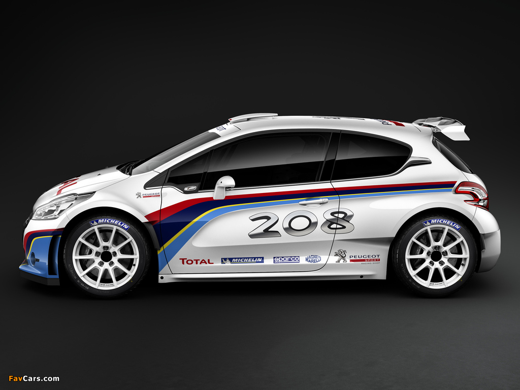 Pictures of Peugeot 208 Type R5 2013 (1024 x 768)