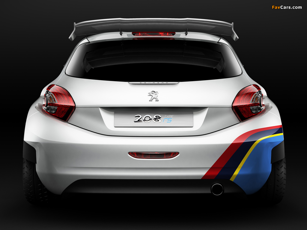 Pictures of Peugeot 208 Type R5 2013 (1024 x 768)