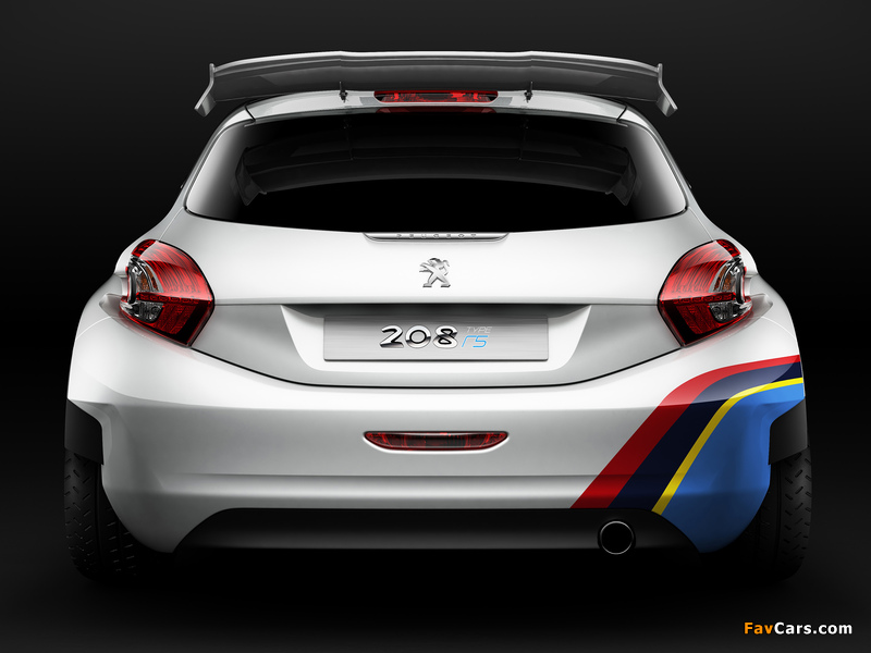 Pictures of Peugeot 208 Type R5 2013 (800 x 600)