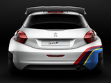 Pictures of Peugeot 208 Type R5 2013