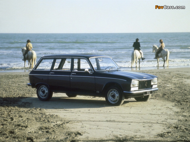 Peugeot 304 Break 1970–79 wallpapers (640 x 480)