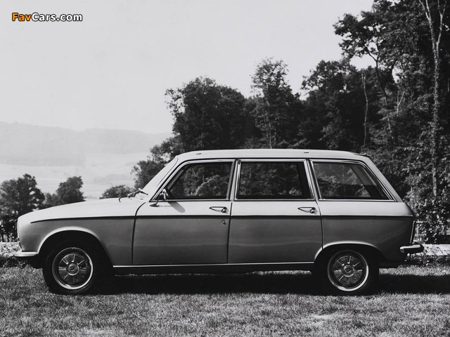 Photos of Peugeot 304 Break 1970–79 (640 x 480)