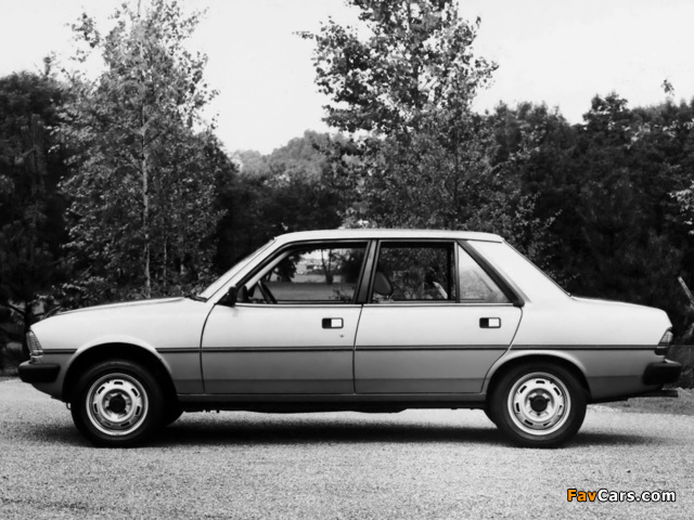 Images of Peugeot 305 1977–82 (640 x 480)
