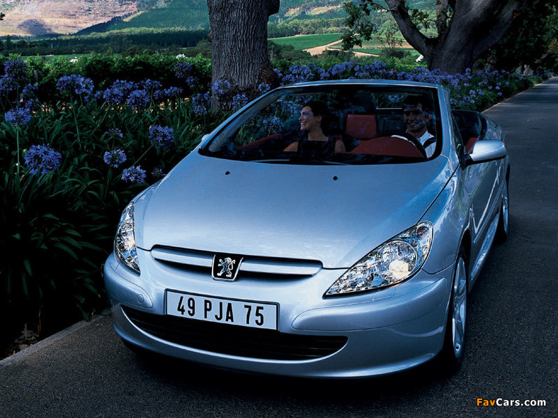 Images of Peugeot 307 CC 2003–05 (800 x 600)