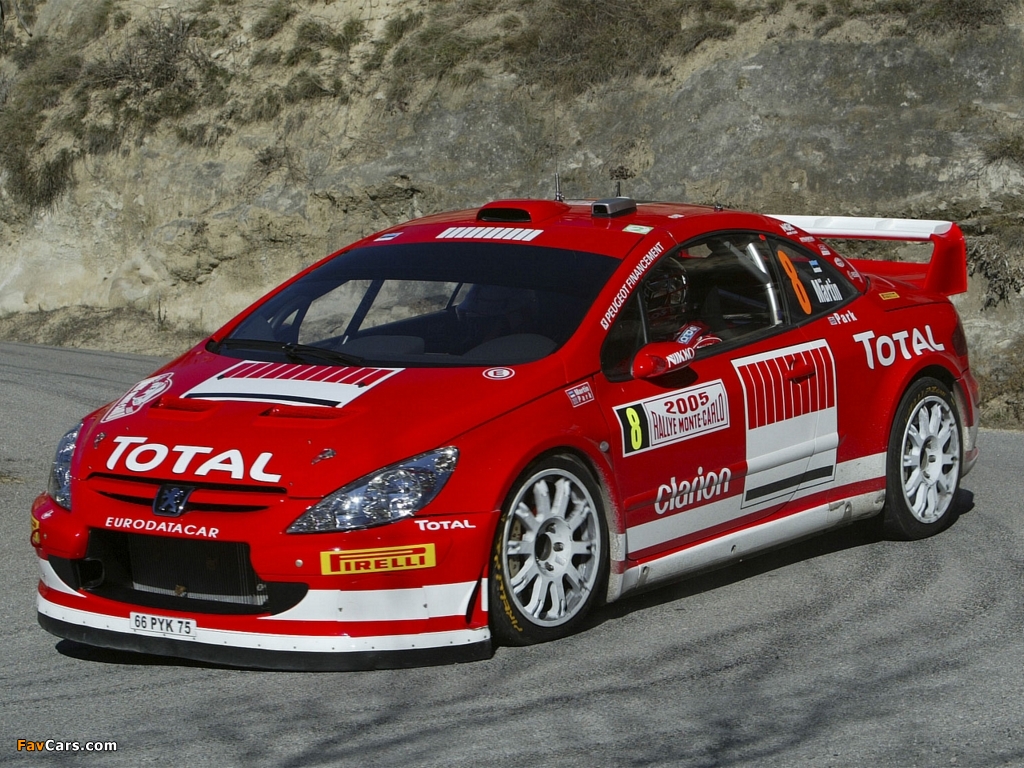 Images of Peugeot 307 WRC 2004–05 (1024 x 768)