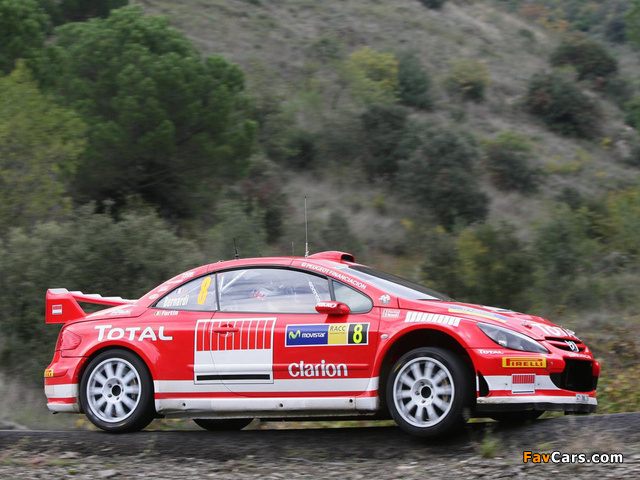 Images of Peugeot 307 WRC 2004–05 (640 x 480)