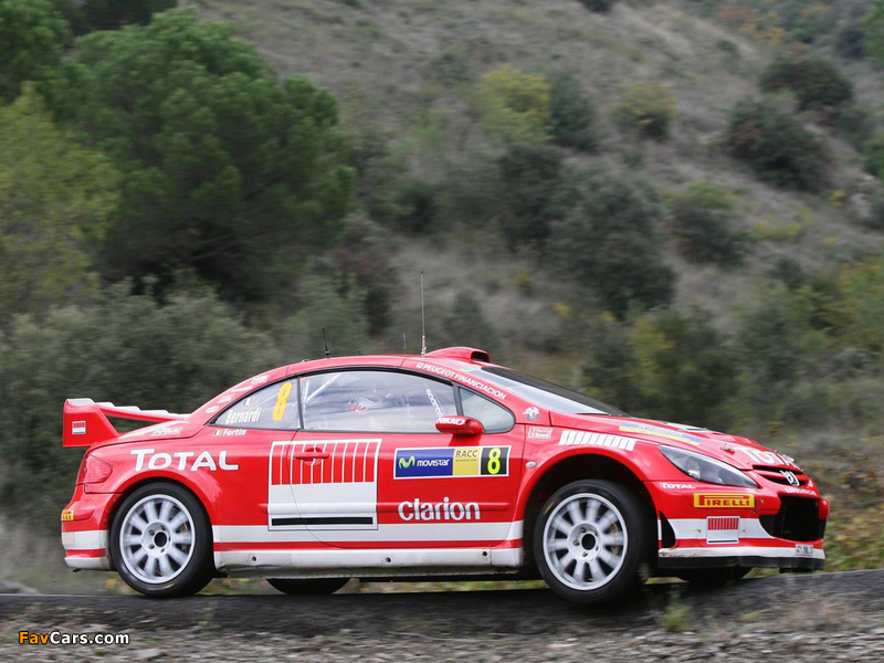 Images of Peugeot 307 WRC 2004–05 (800 x 600)
