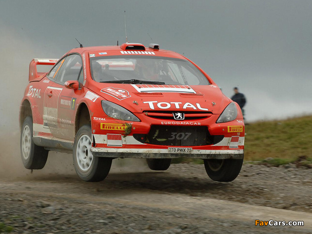 Images of Peugeot 307 WRC 2004–05 (640 x 480)