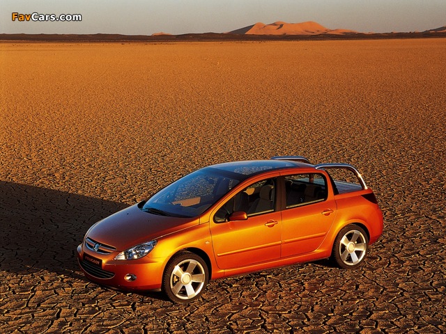 Peugeot 307 Cameleo Concept 2001 pictures (640 x 480)