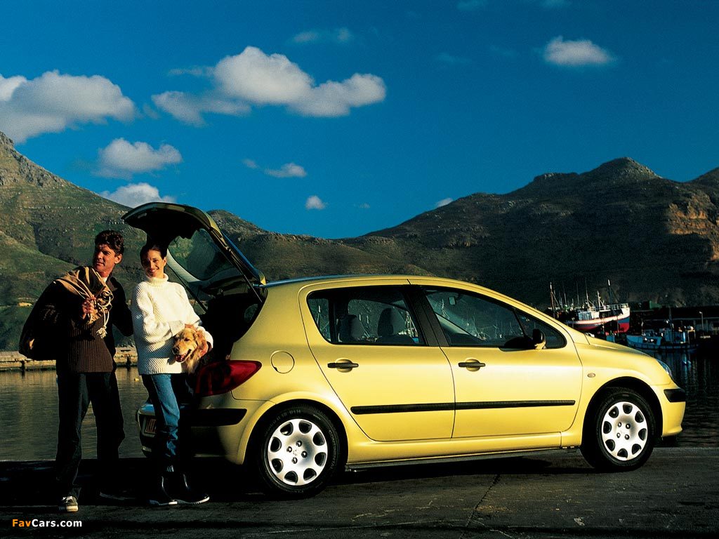 Peugeot 307 5-door 2001–05 pictures (1024 x 768)