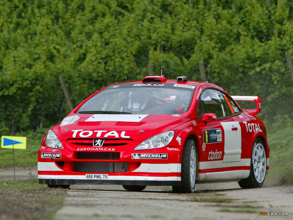 Peugeot 307 WRC 2004–05 photos (1024 x 768)