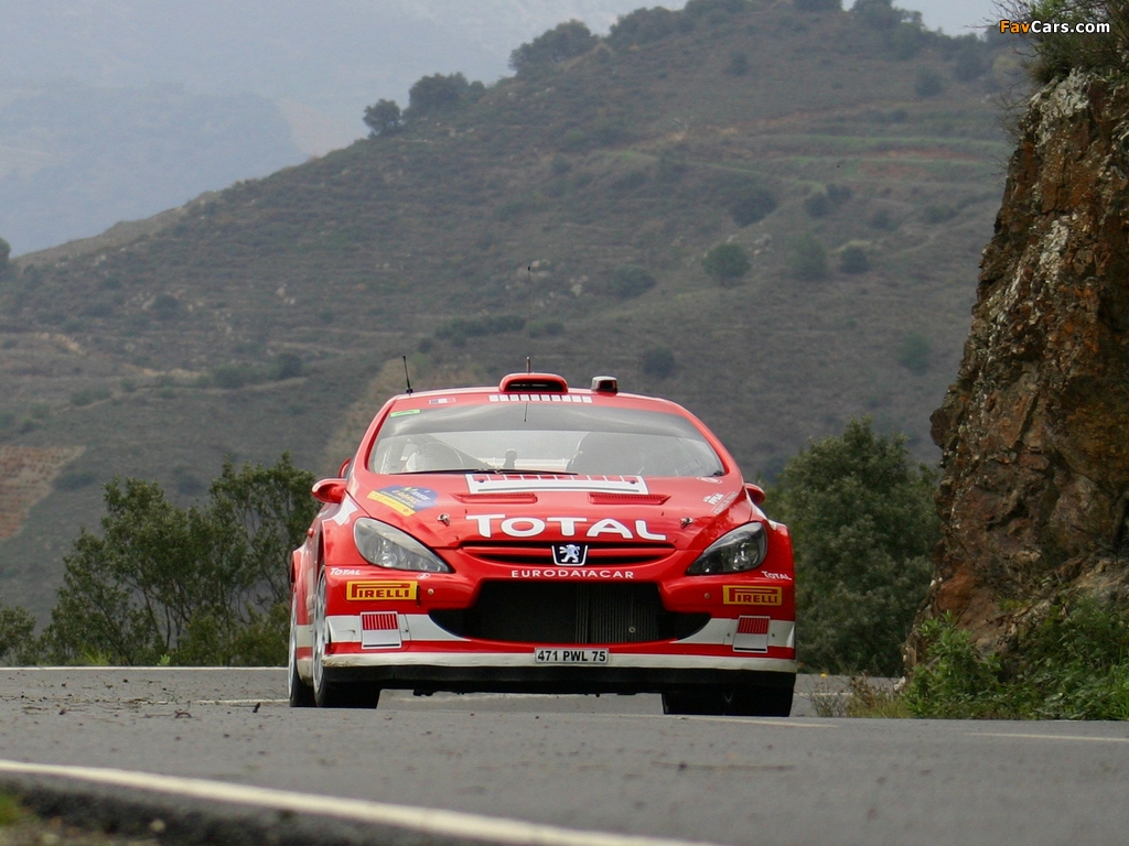 Peugeot 307 WRC 2004–05 photos (1024 x 768)