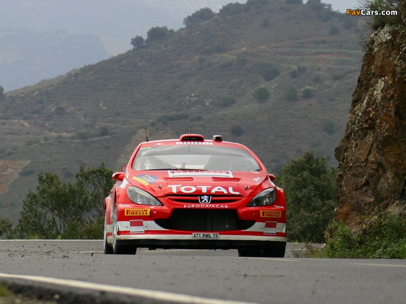 Peugeot 307 WRC 2004–05 photos (800 x 600)