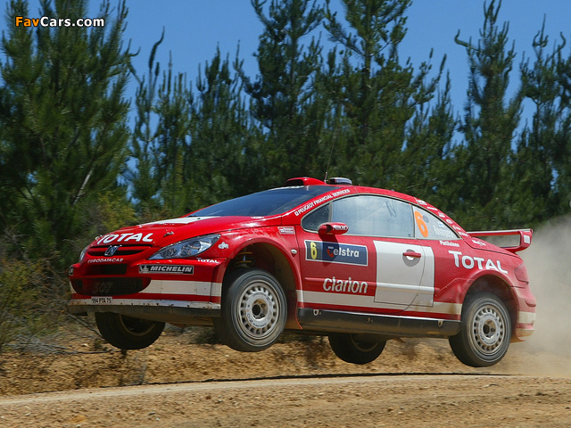 Peugeot 307 WRC 2004–05 photos (640 x 480)