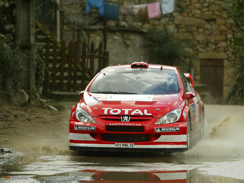 Peugeot 307 WRC 2004–05 wallpapers (1024 x 768)