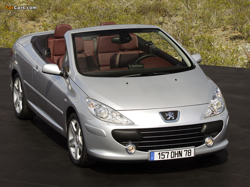 Peugeot 307 CC 2005–08 images (800 x 600)