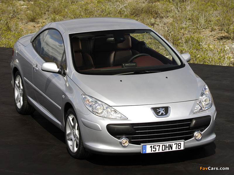Peugeot 307 CC 2005–08 images (800 x 600)