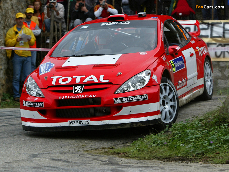 Photos of Peugeot 307 WRC 2004–05 (800 x 600)