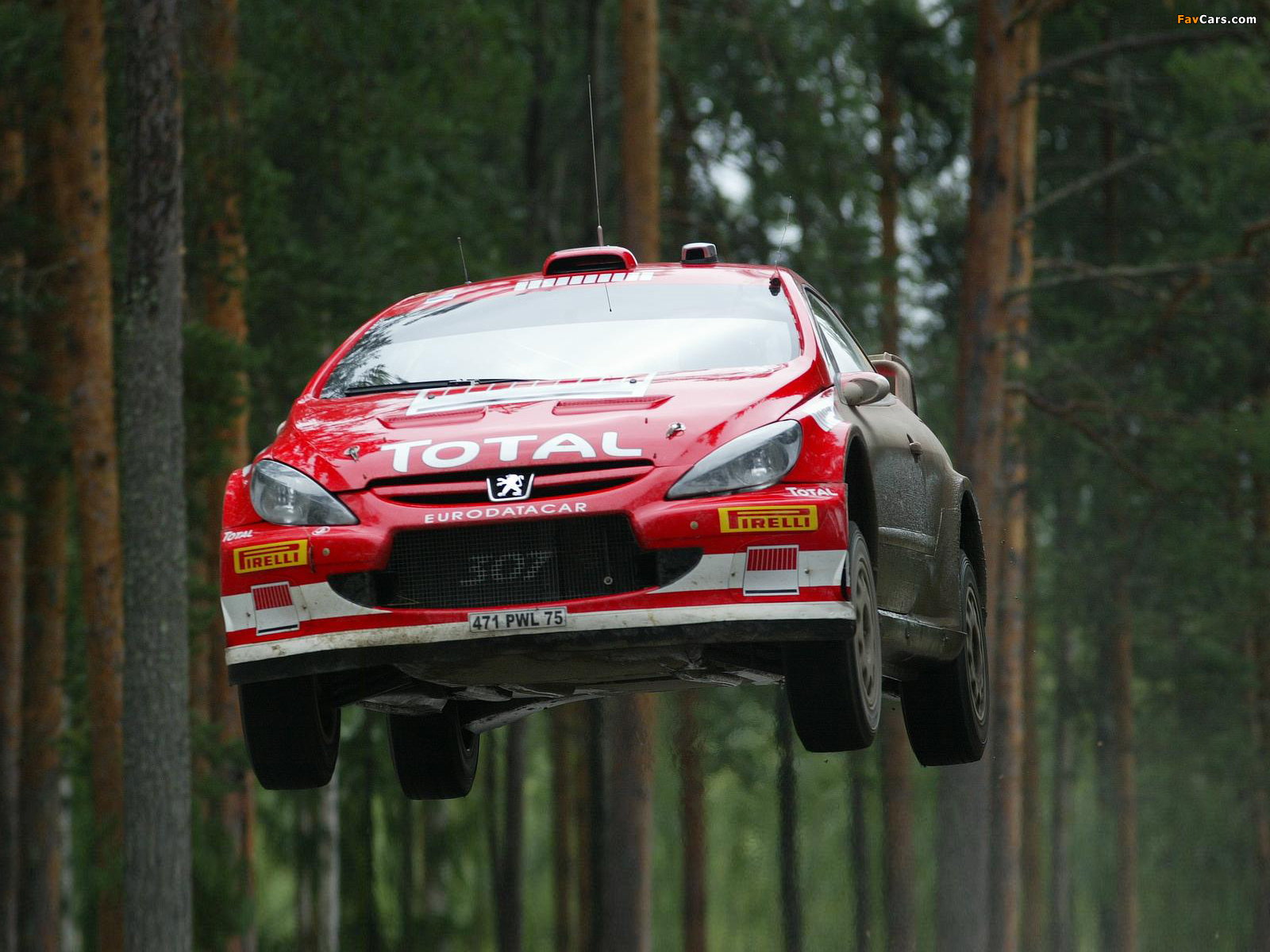 Photos of Peugeot 307 WRC 2004–05 (1600 x 1200)