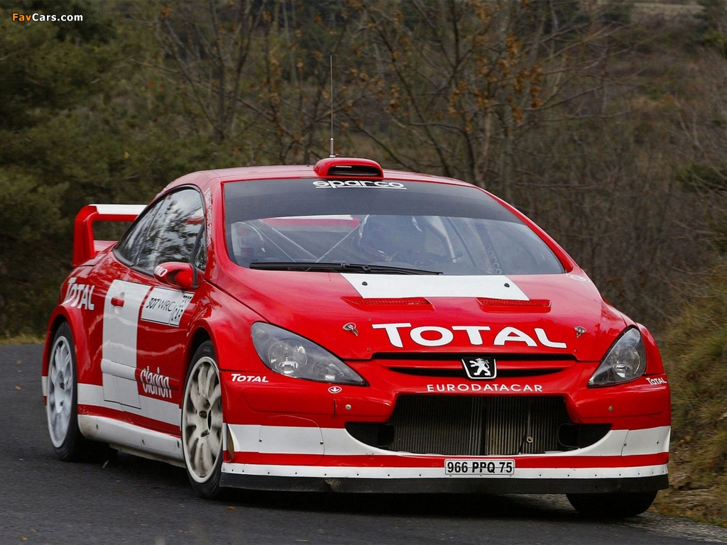 Photos of Peugeot 307 WRC 2004–05 (1024 x 768)