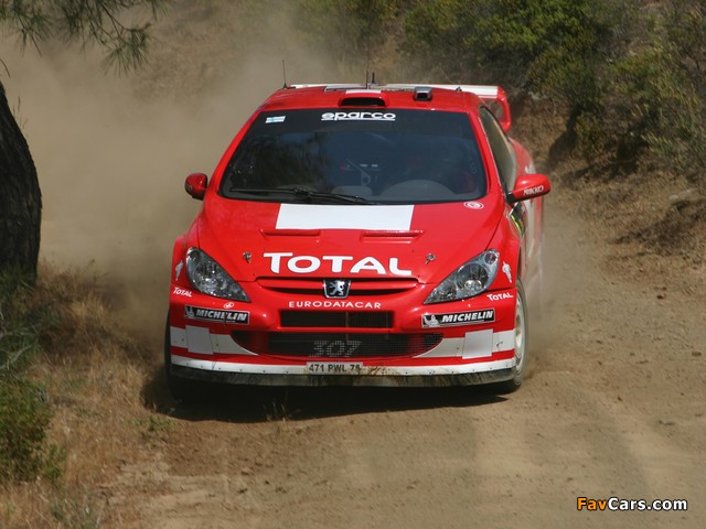 Photos of Peugeot 307 WRC 2004–05 (640 x 480)