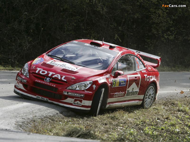 Photos of Peugeot 307 WRC 2004–05 (800 x 600)