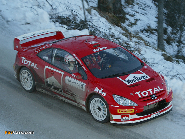 Pictures of Peugeot 307 WRC 2004–05 (640 x 480)