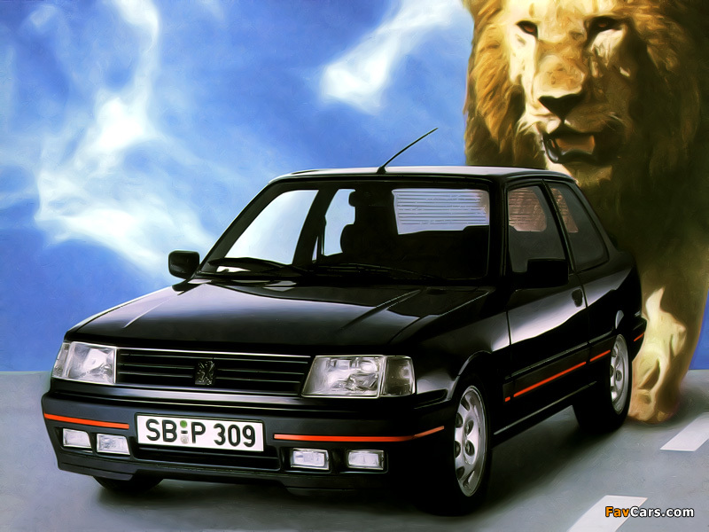 Pictures of Peugeot 309 GTi 1986–89 (800 x 600)