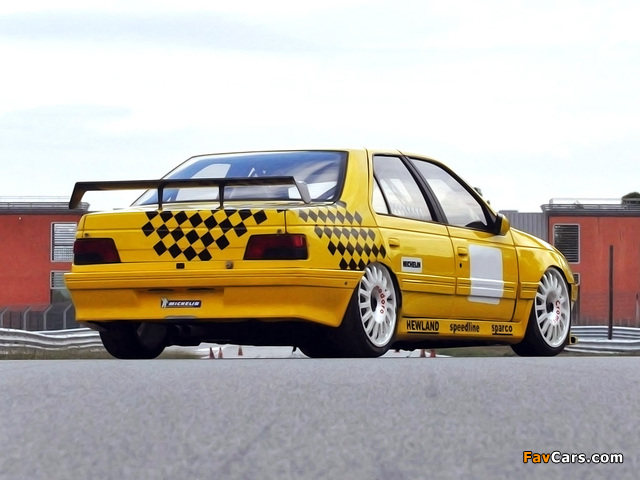 Peugeot 405 Mi16 BTCC 1992–95 wallpapers (640 x 480)