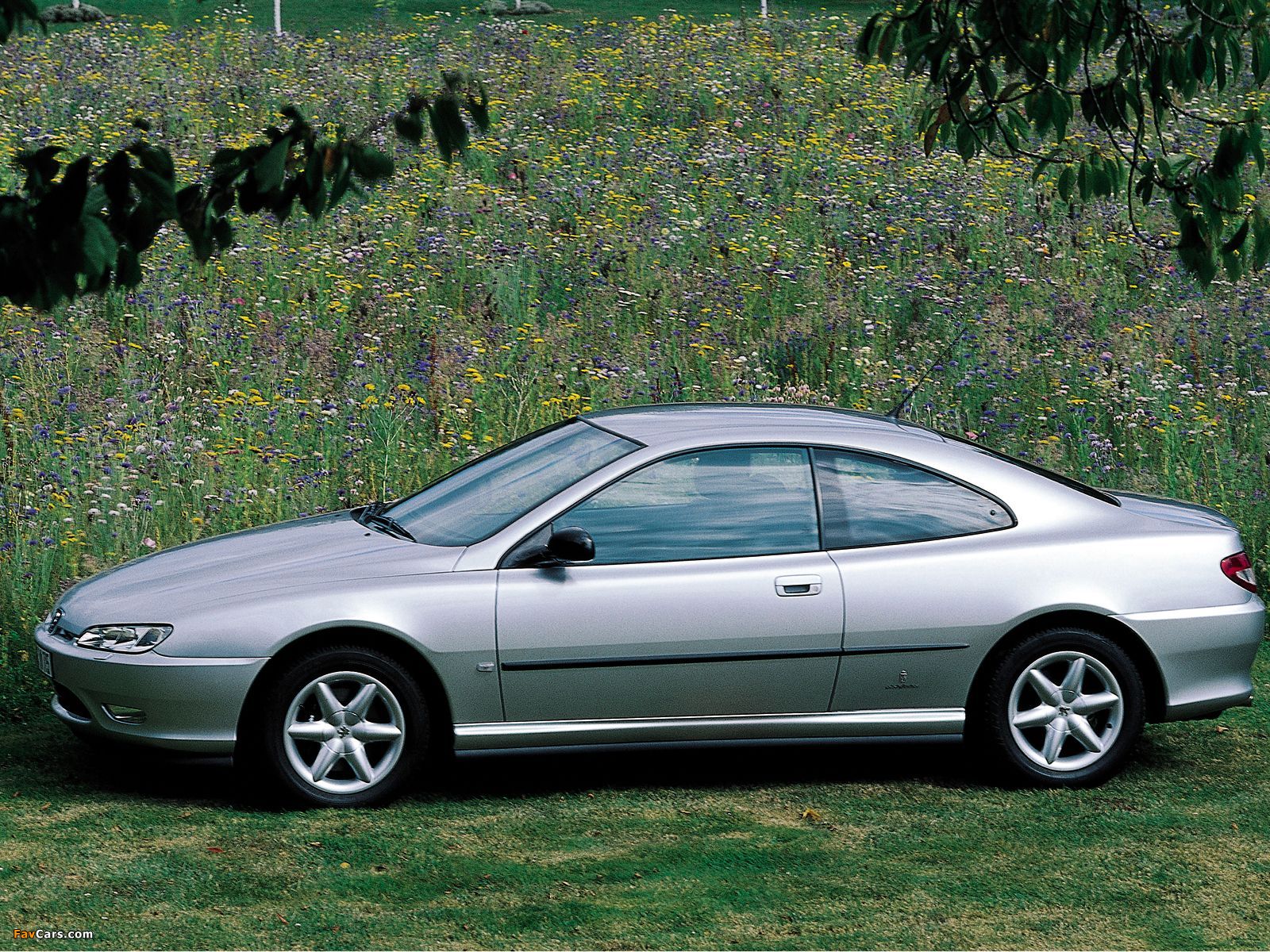 Images of Peugeot 406 Coupe 1997–2003 (1600 x 1200)