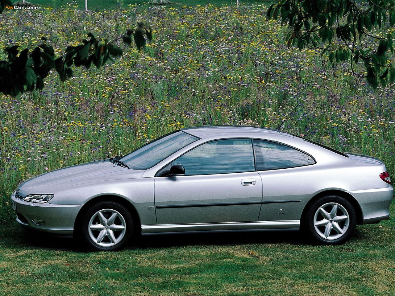 Images of Peugeot 406 Coupe 1997–2003 (1280 x 960)