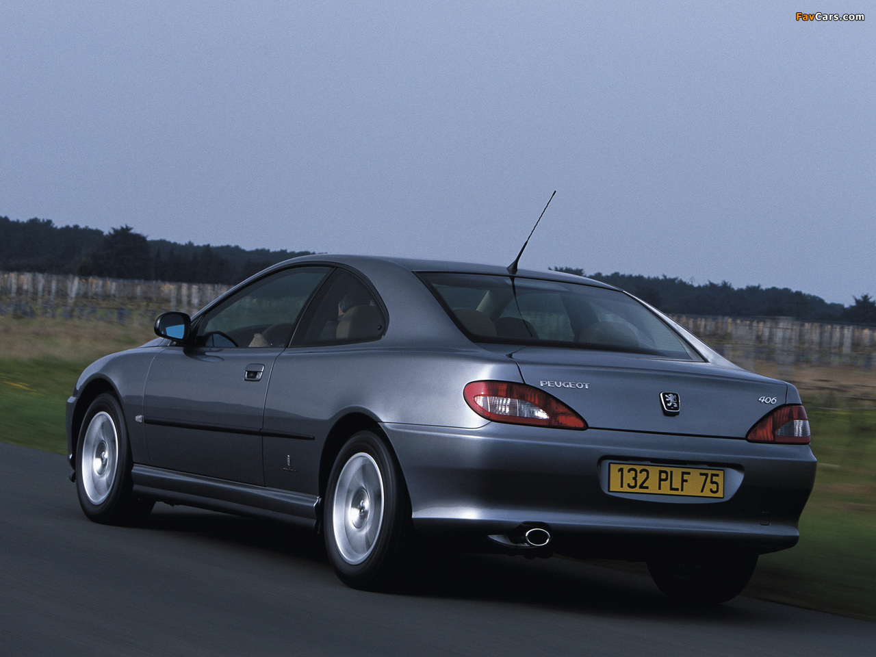 Photos of Peugeot 406 Coupe 2003–04 (1280 x 960)