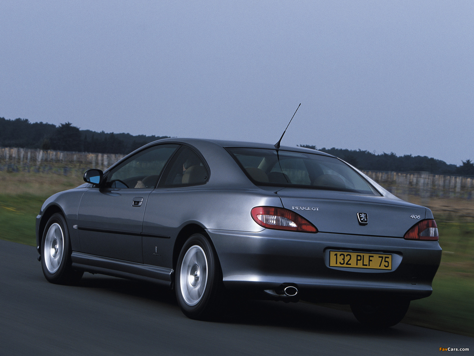 Photos of Peugeot 406 Coupe 2003–04 (1600 x 1200)