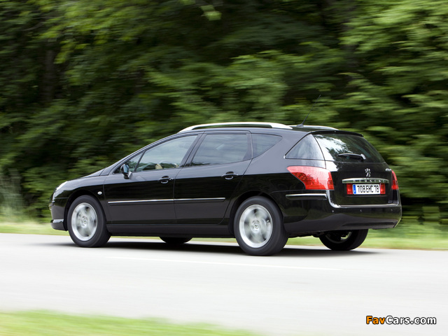 Images of Peugeot 407 SW 2008–10 (640 x 480)
